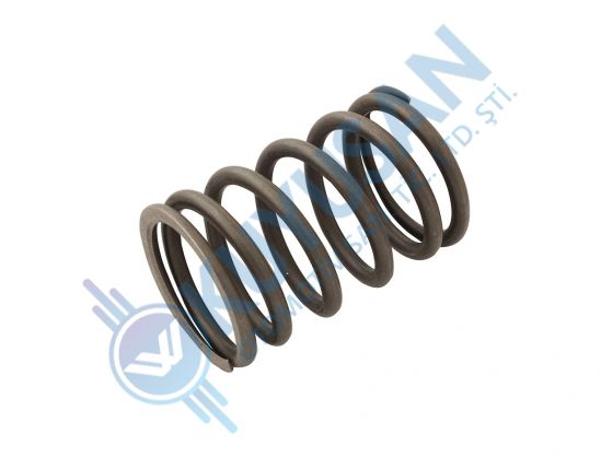 Valve Spring Intake