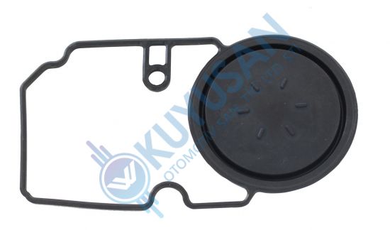 Diaphragm kit