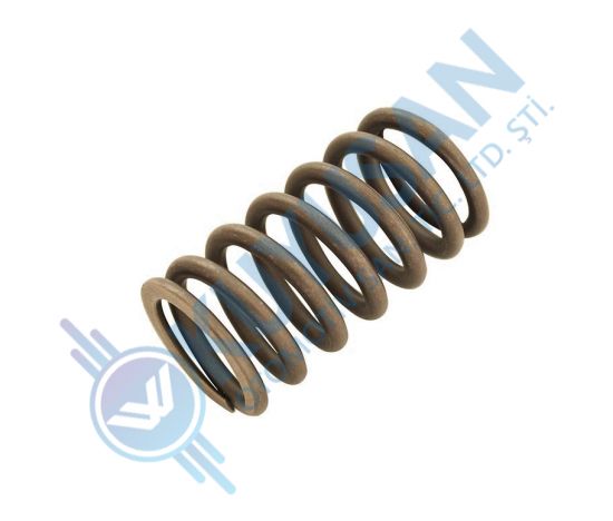 Valve Spring Intake