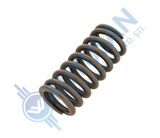 Valve Spring Intake