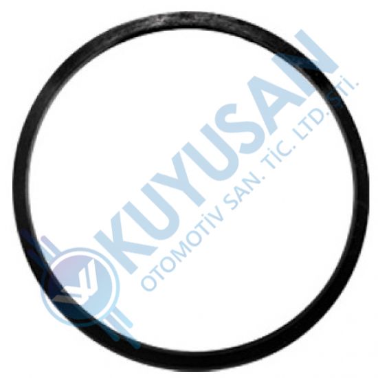 TREIBSTOFF FILTER O-RING