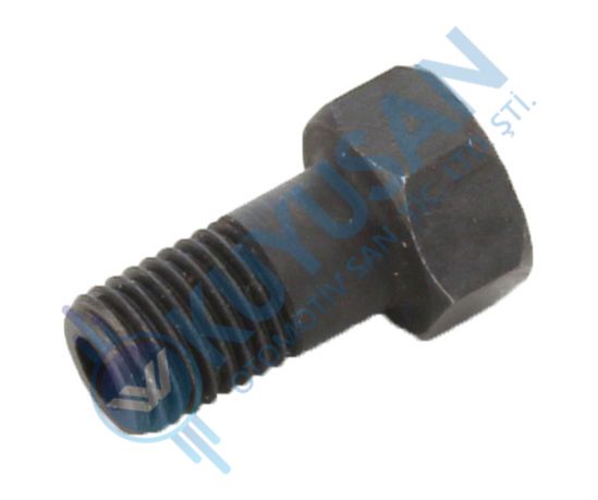 Hollow screw