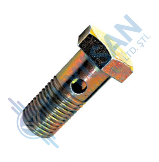 Hollow screw
