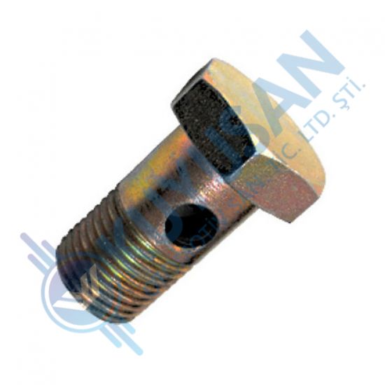 Hollow screw