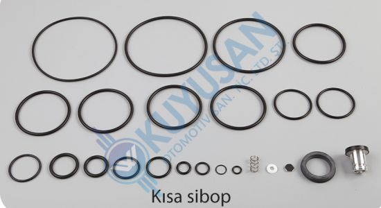 DORSE KONTROL VALFİ TAMİR TAKIMI
