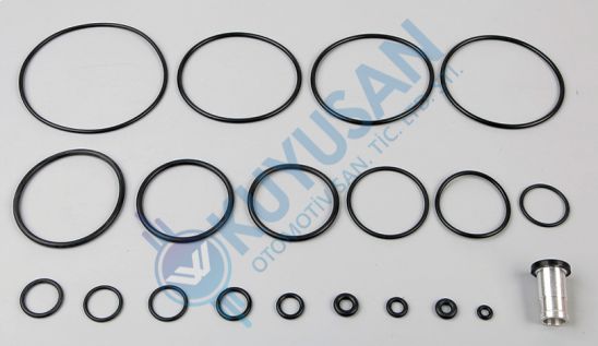 DORSE KONTROL VALFİ TAMİR TAKIMI