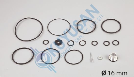 DORSE KONTROL VALFİ TAMİR TAKIMI