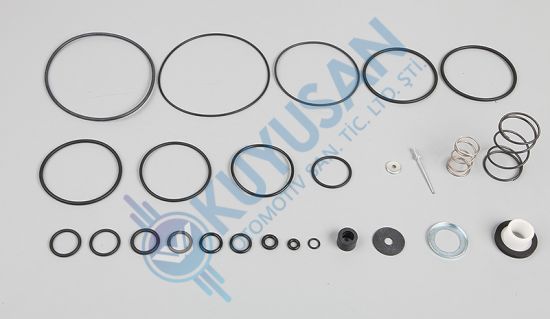 DORSE KONTROL VALFİ TAMİR TAKIMI