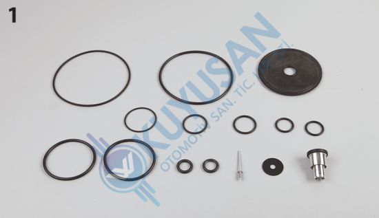 DORSE KONTROL VALFİ TAMİR TAKIMI