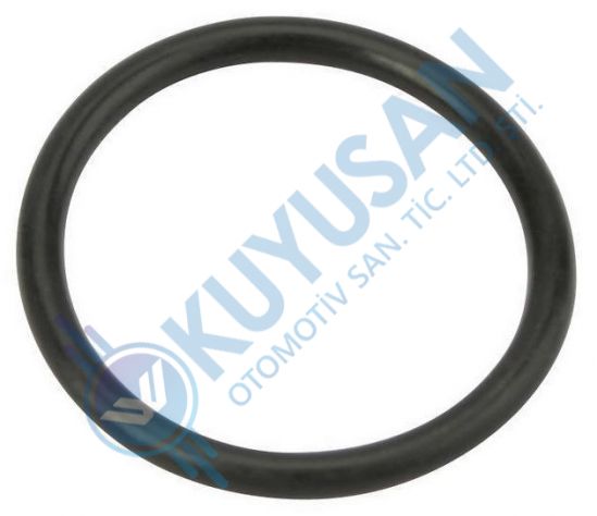 Injection O-ring